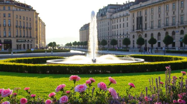 Top 5 conseils pour gérer votre curatelle à Genève